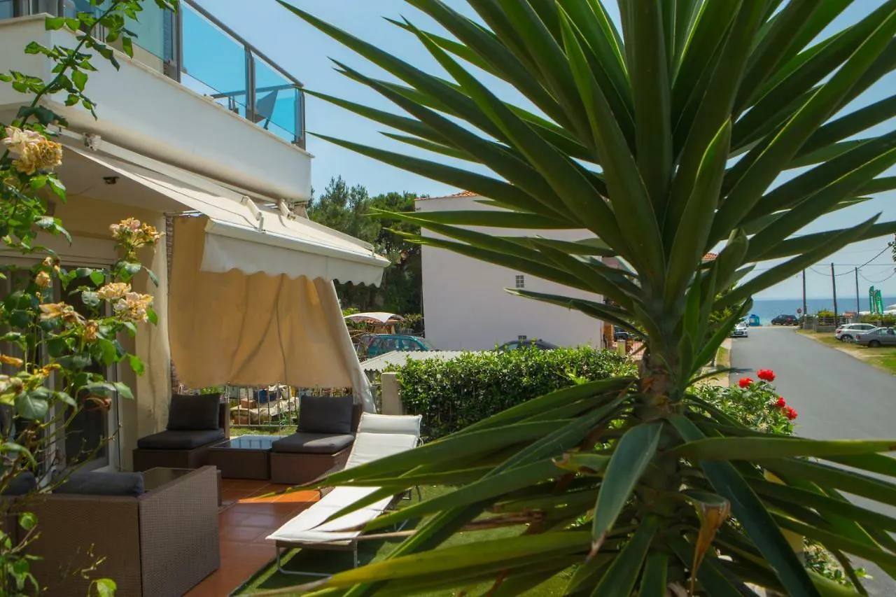 Luxurious Seaside Vacation Home Nikiti  0*, Nikiti (Sithonia)